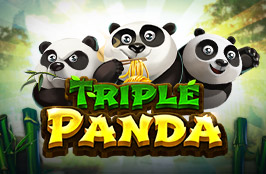 AP33 Slot Game: TRIPLE PANDA
