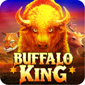 AP33 Slot Game: BUFFALO KING